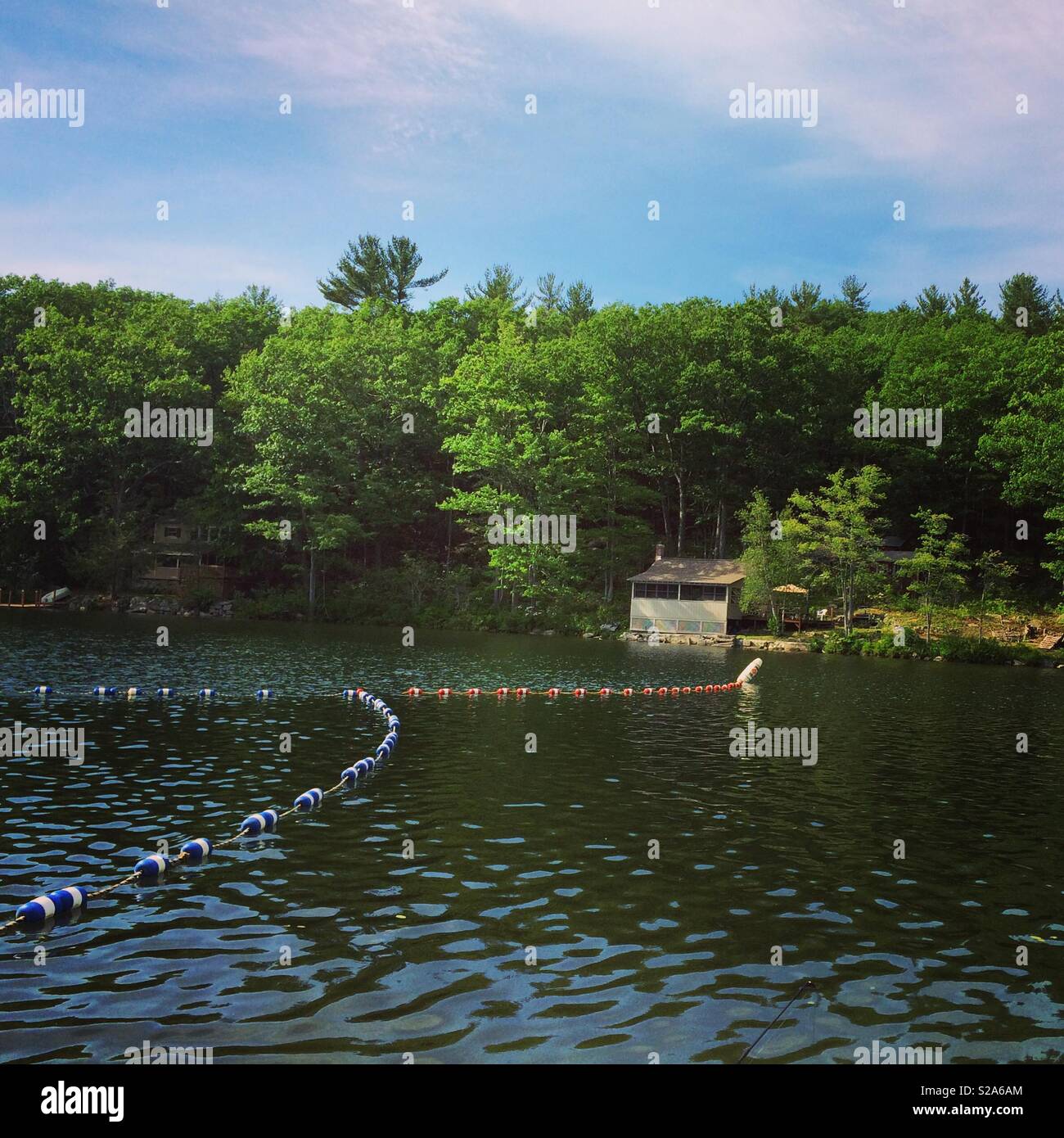 Laurel Lake, Erving State Forest, Massachusetts, United States Stock Photo Alamy