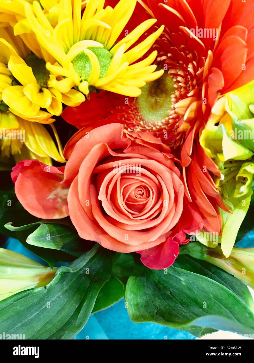 Brightly colored flower bouquet Stock Photo Alamy