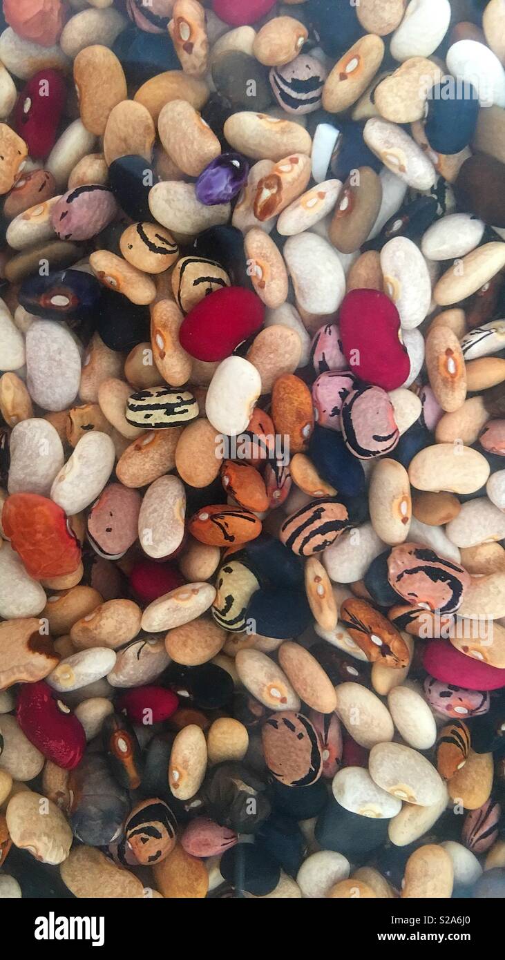 Mixed beans look like rocks, stones, and cute little pebbles Stock