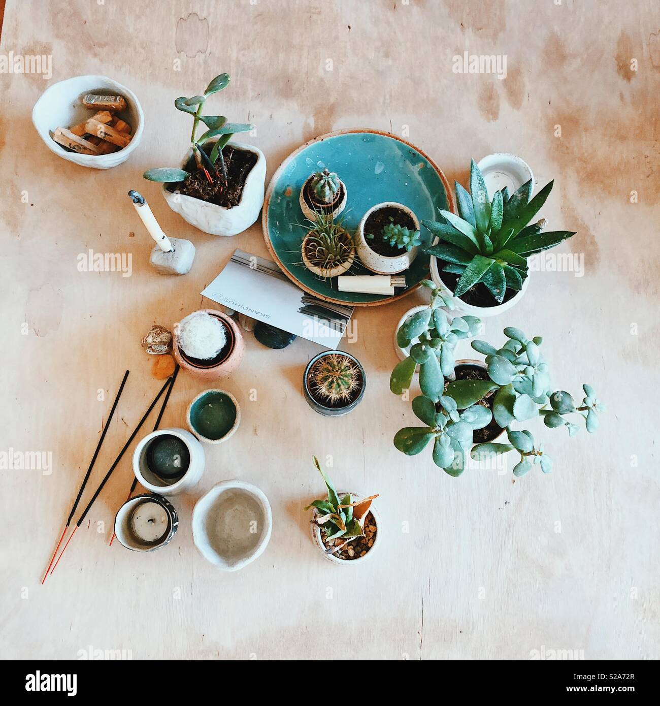 Scandinavian flatlay featuring handmade pottery and plants Stock Photo
