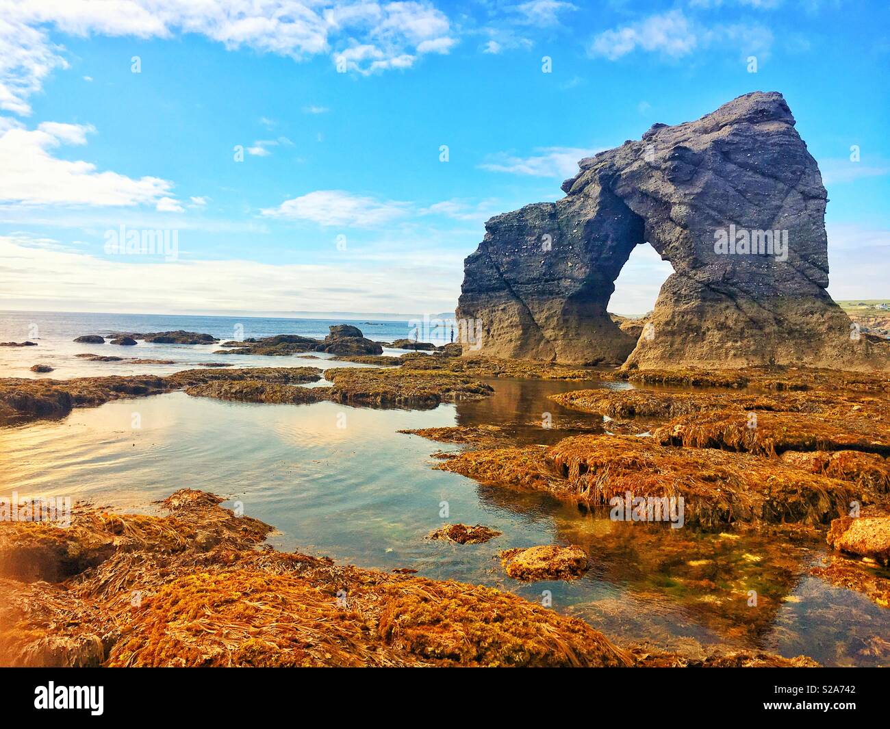 Thurlestone Rock on the South Devon Coastline in Great Britain. A natural stone arch approached via tidal rock pools. Stock Photo