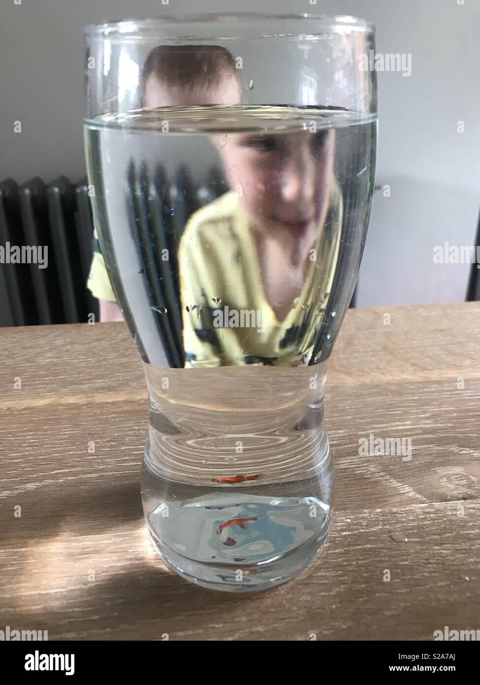 Baby fish safe whilst cleaning tank Stock Photo Alamy