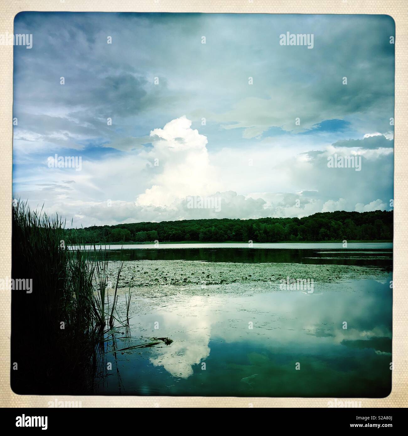 Labor Day storm clouds reflecting on the pond at a local park - Smartphone Captured Stock Image