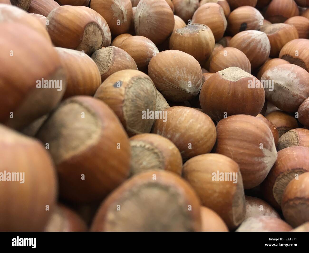 Hazelnuts in bulk Stock Photo Alamy