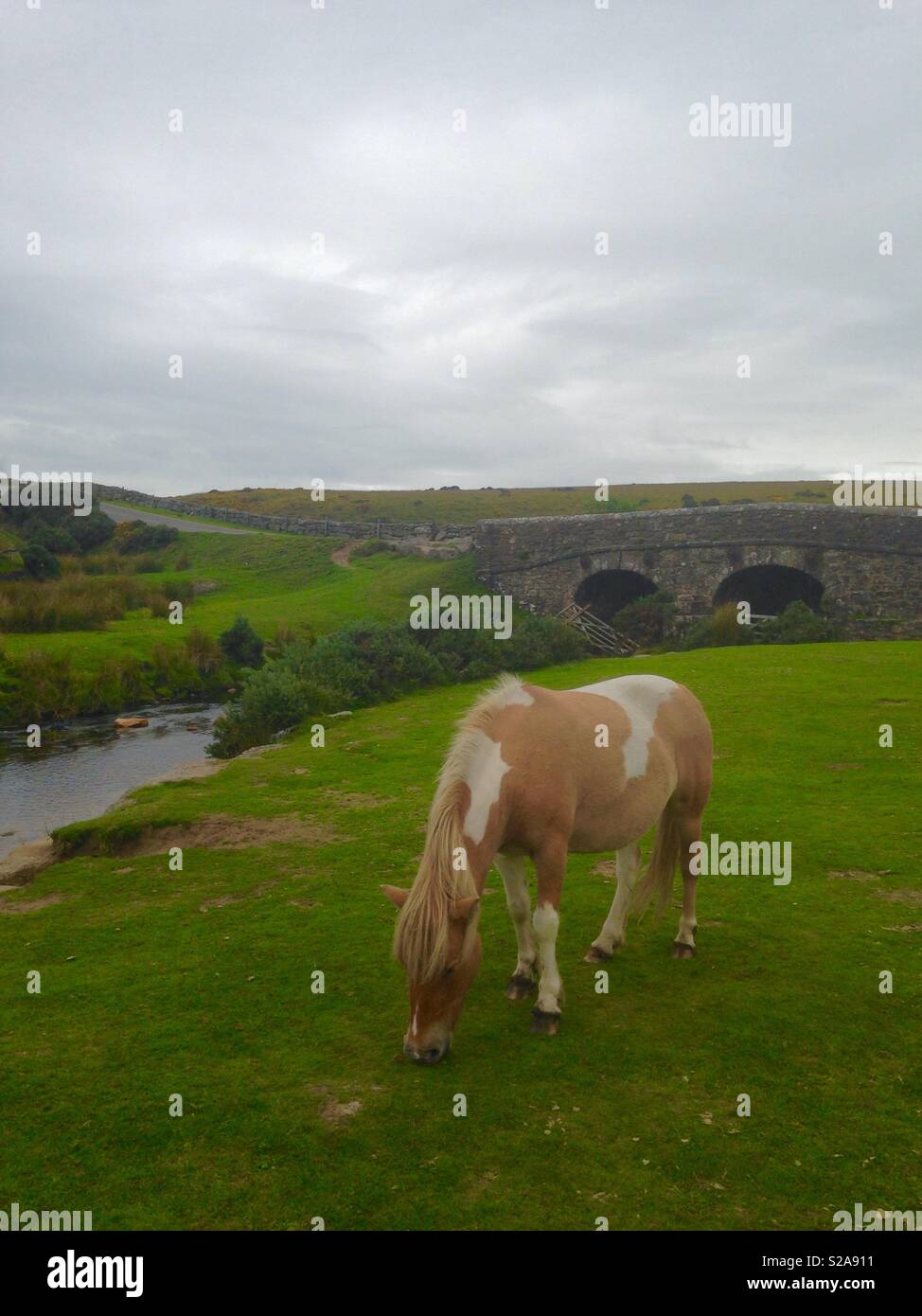 Autumn in Dartmoor (part one) - Smartphone Captured Stock Image
