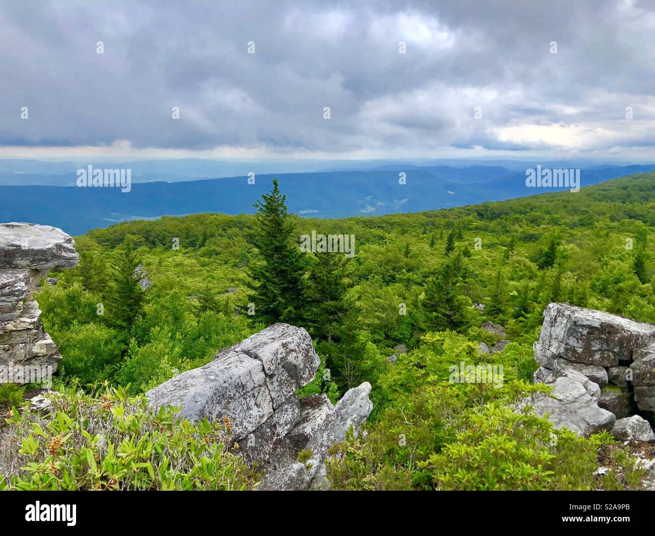 Dolly Sods, West Virginia a great place to go with the family and hike. Stock Photo