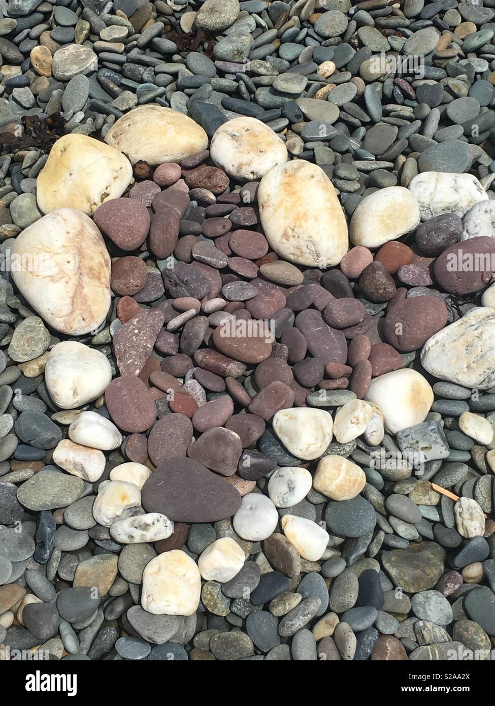 Beach heart pebbles Stock Photo Alamy