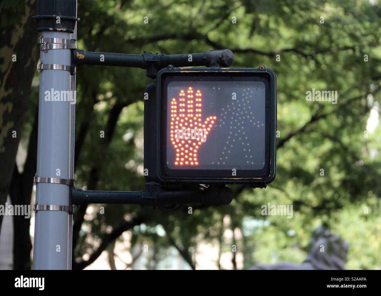 Don’t Walk - Smartphone Captured Stock Image