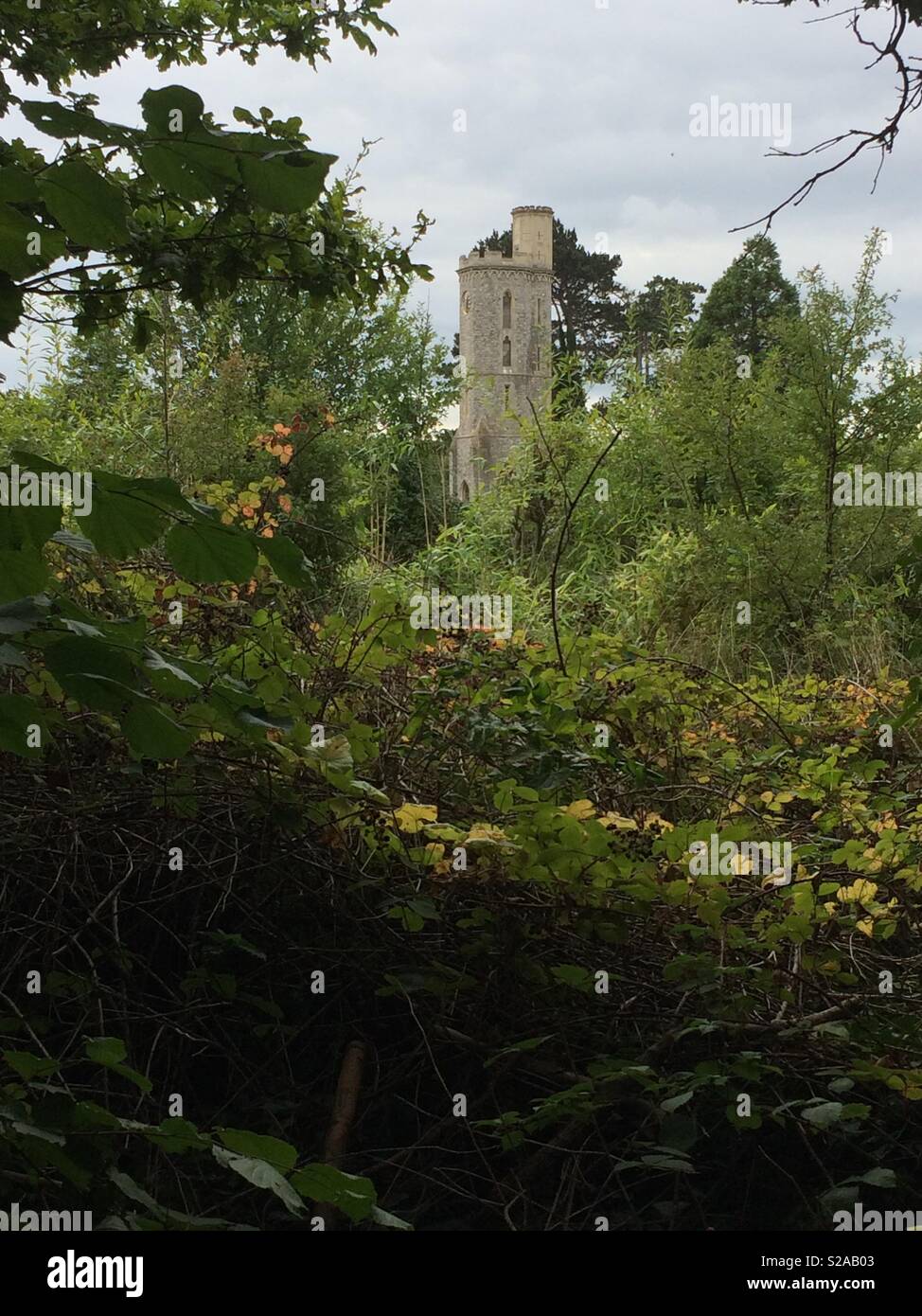 Fairytale tower in trees Stock Photo
