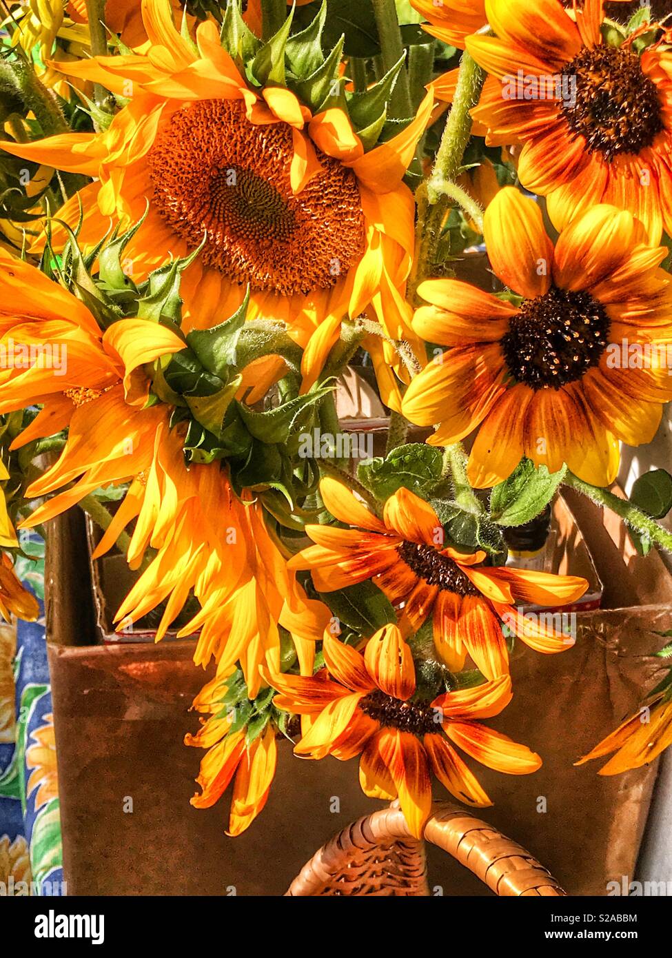 Sunflowers on display at a farmers market - Smartphone Captured Stock Image