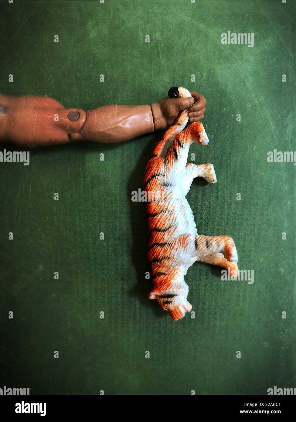 Conceptual: tiger by the tail. Stock Photo