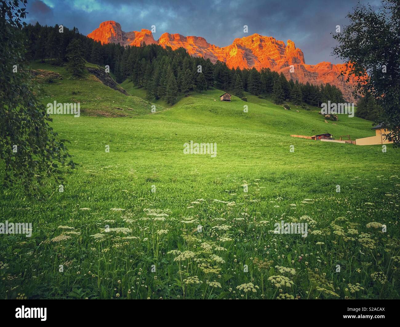 Summer in the Dolomites - San Cassiano, South Tyrol, Italy - Smartphone Captured Stock Image