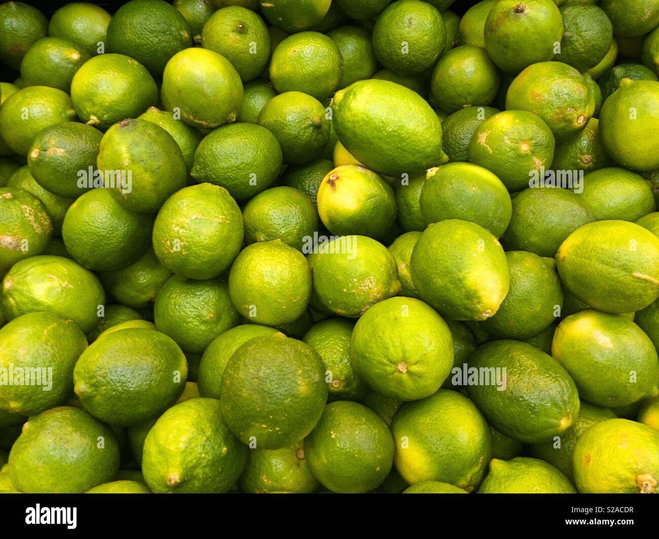 Limes in bulk at a local fruit stand Stock Photo Alamy