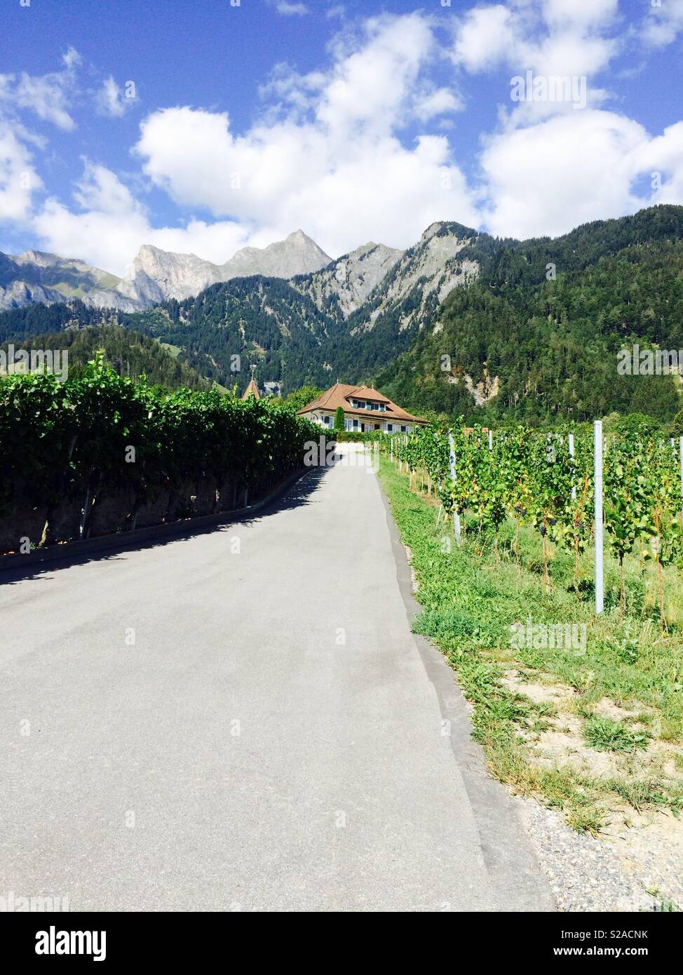 Mountain view and scene of vineyards and house looking up a long driveway in Jenins outside of Zurich in Switzerland Stock Photo