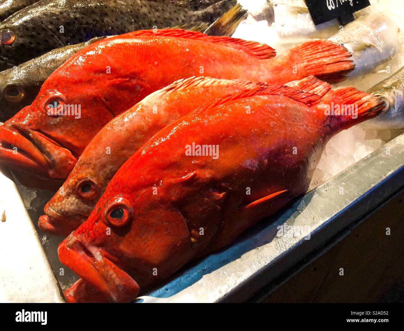 Fresh fish at the market in Thailand Stock Photo - Alamy