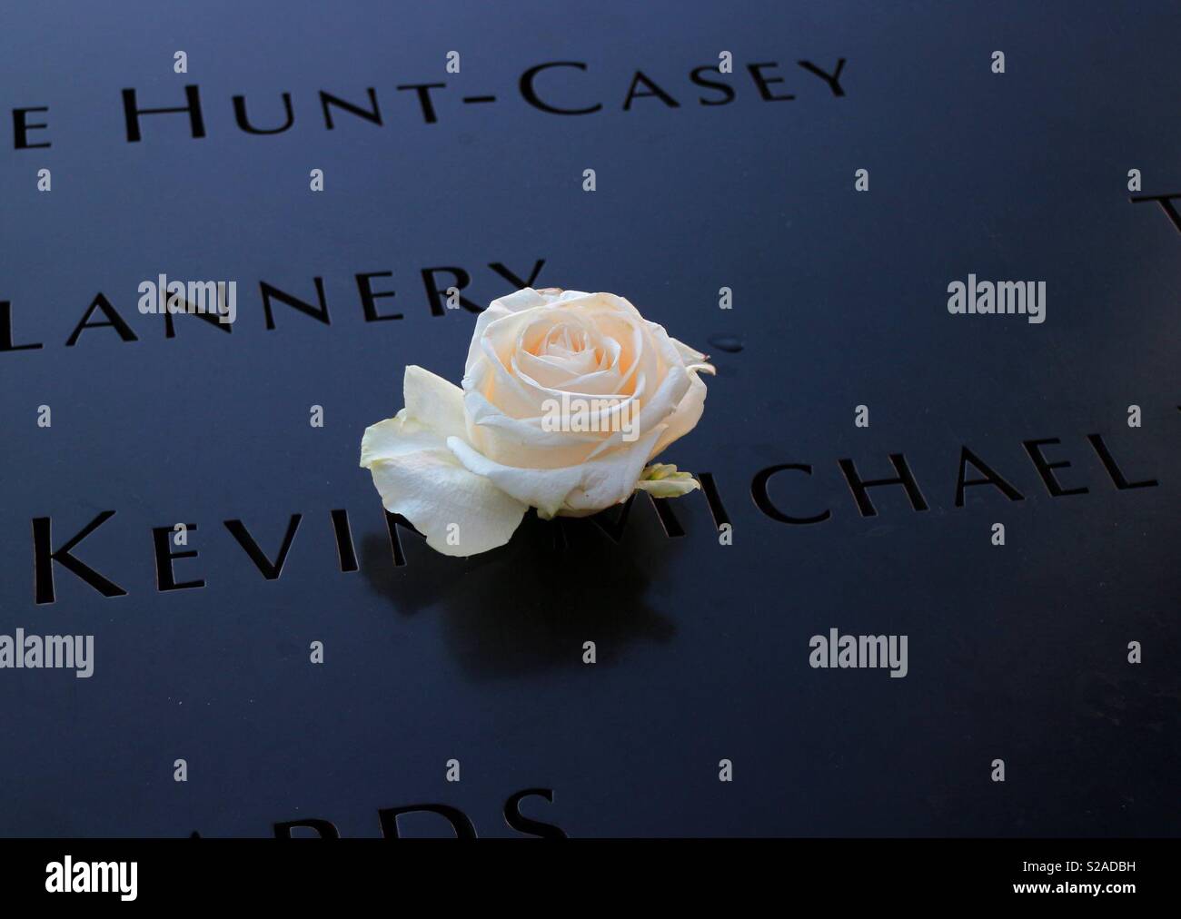 Ground Zero Memorial Flower - Smartphone Captured Stock Image