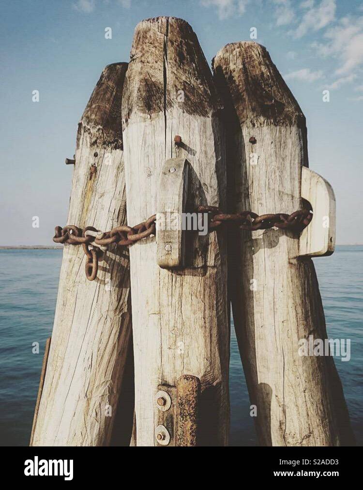 Wooden stakes hi-res stock photography and images - Alamy