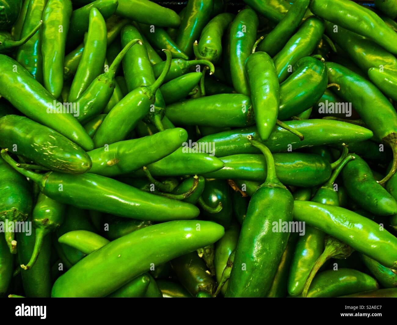 Jalapeño peppers in bulk. Stock Photo