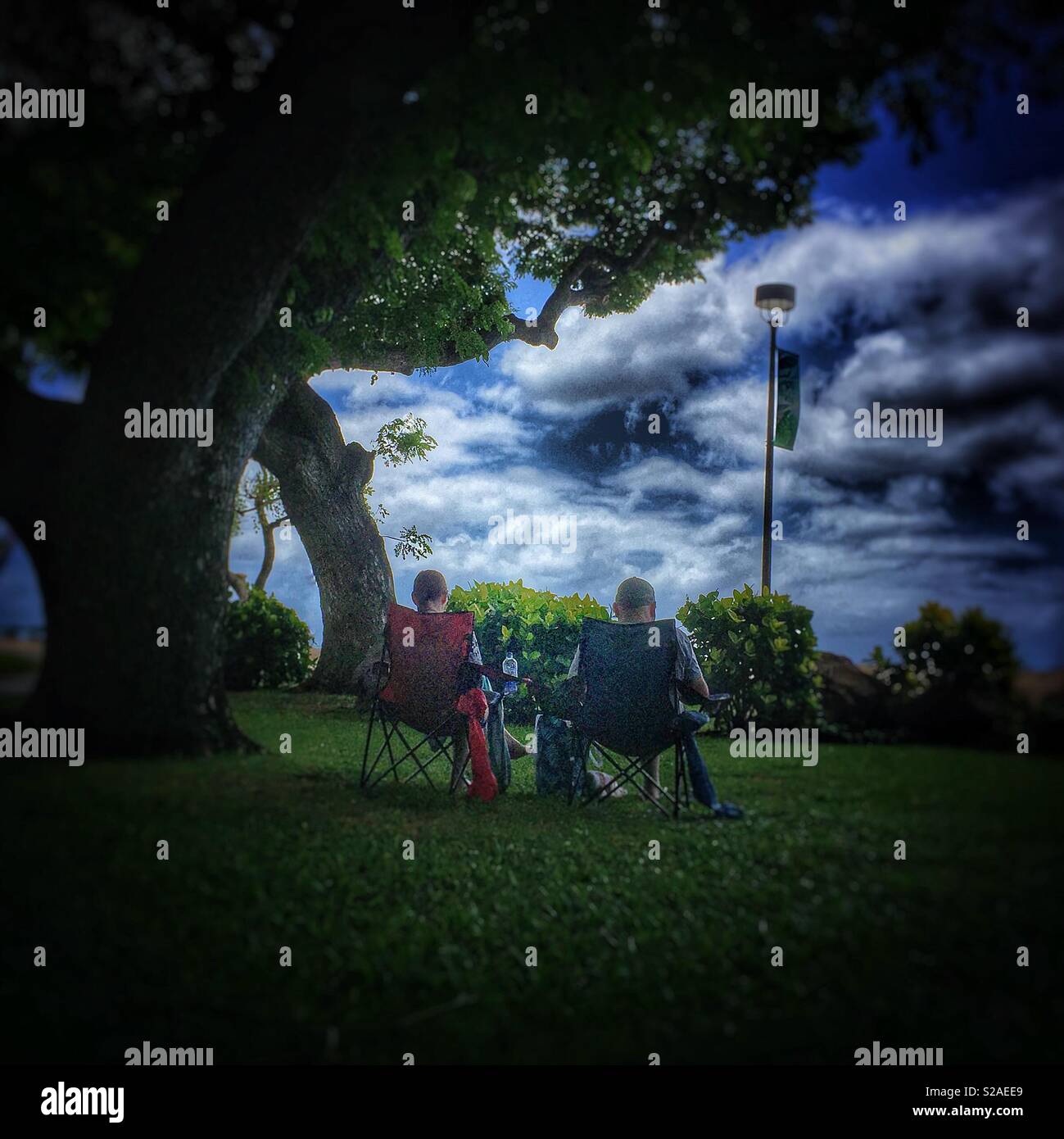 People sitting under the tree hi-res stock photography and images - Alamy