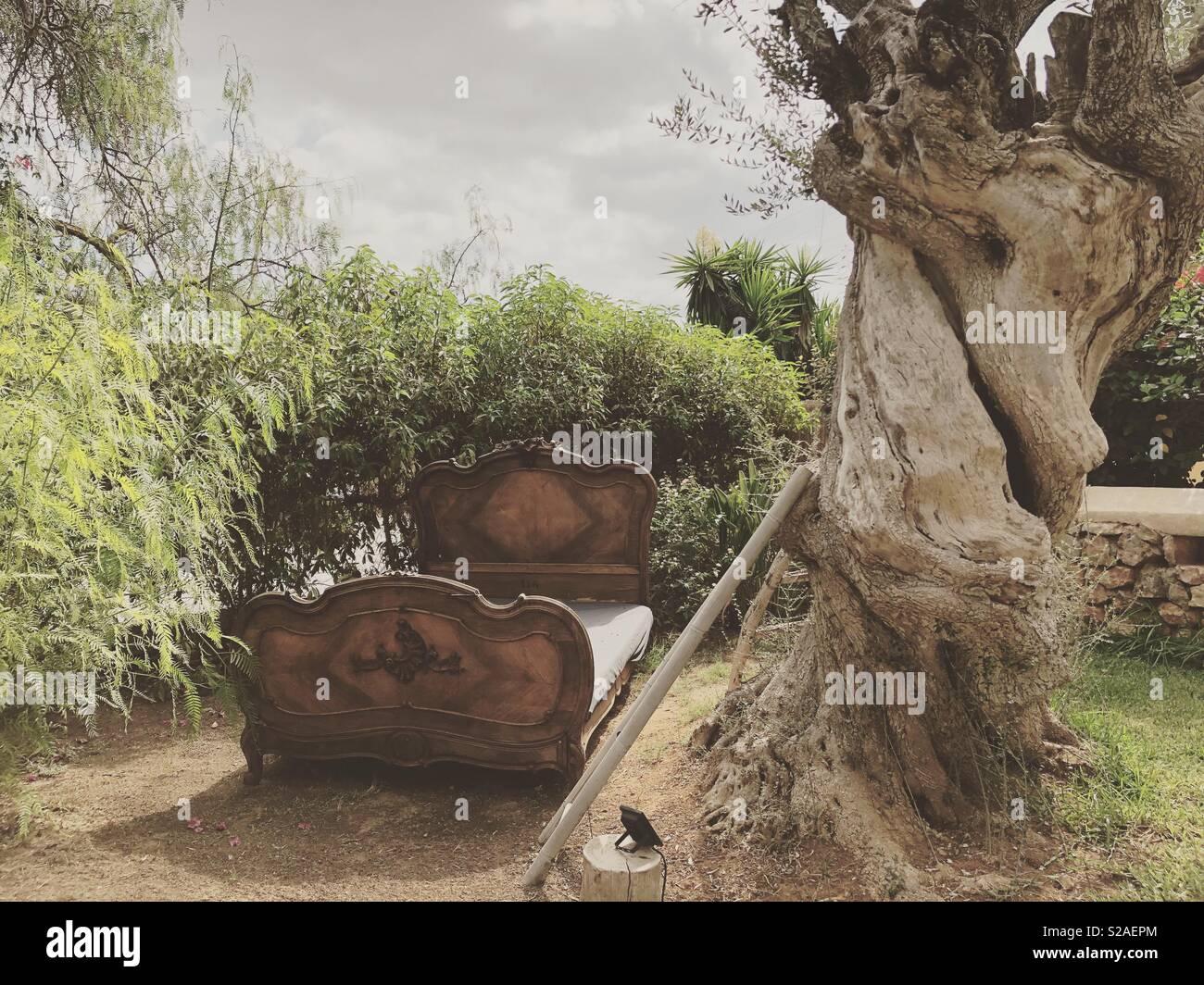 Fairytale garden - Smartphone Captured Stock Image