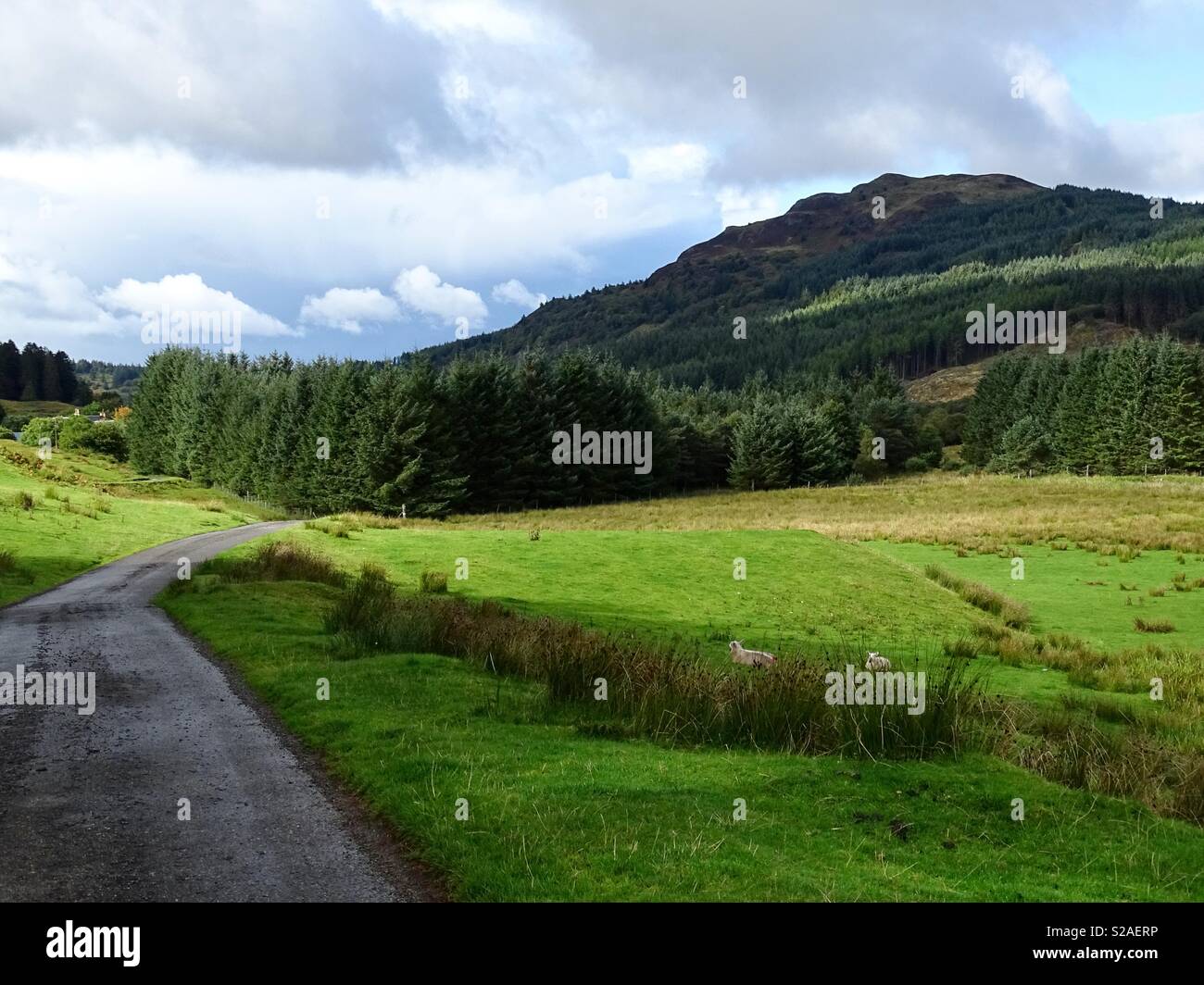 Scotland Rural Background Rural road in Scotland Stock Photo - Alamy