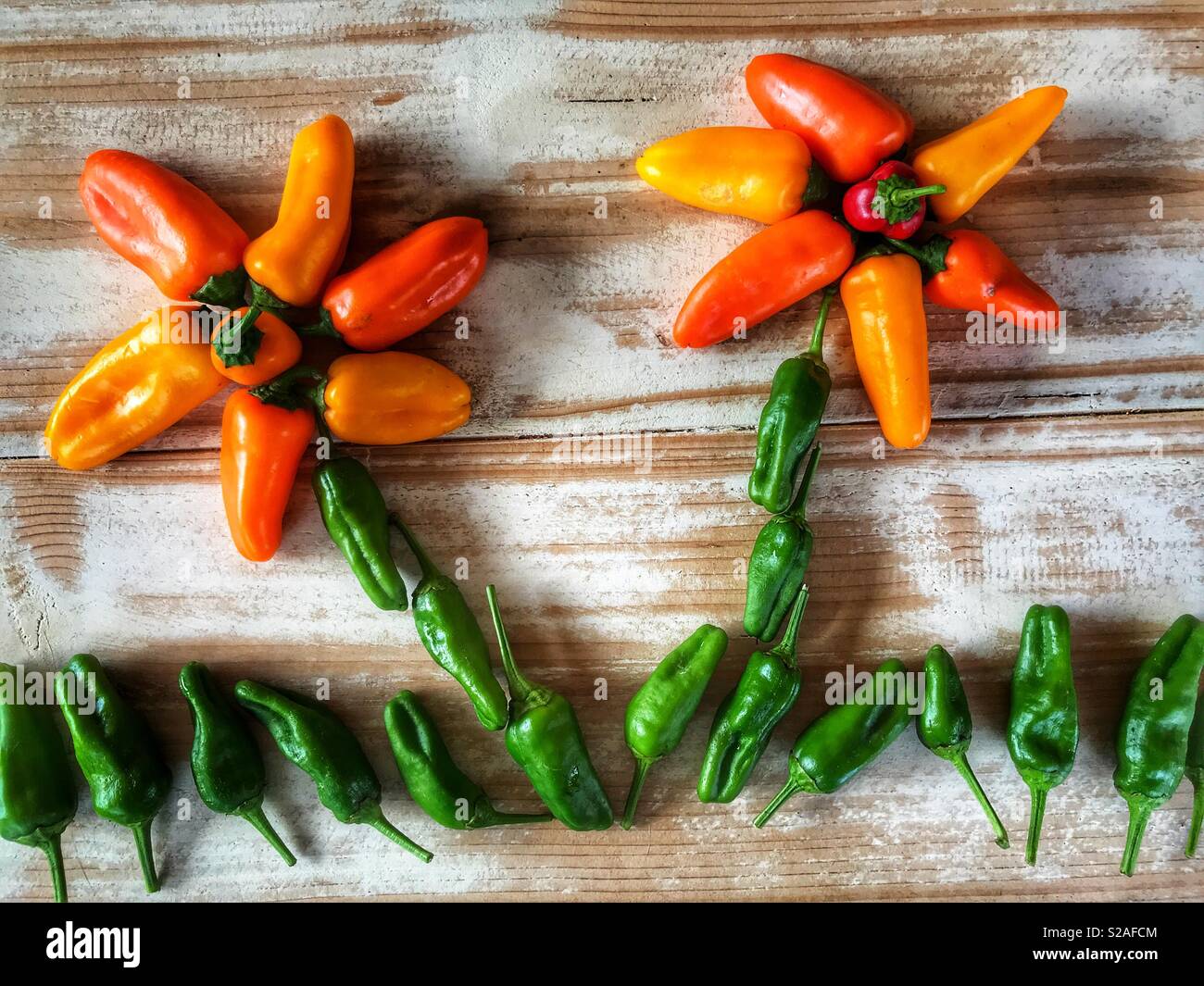 Fresh red, green, yellow and orange peppers, eat the rainbow - Smartphone Captured Stock Image