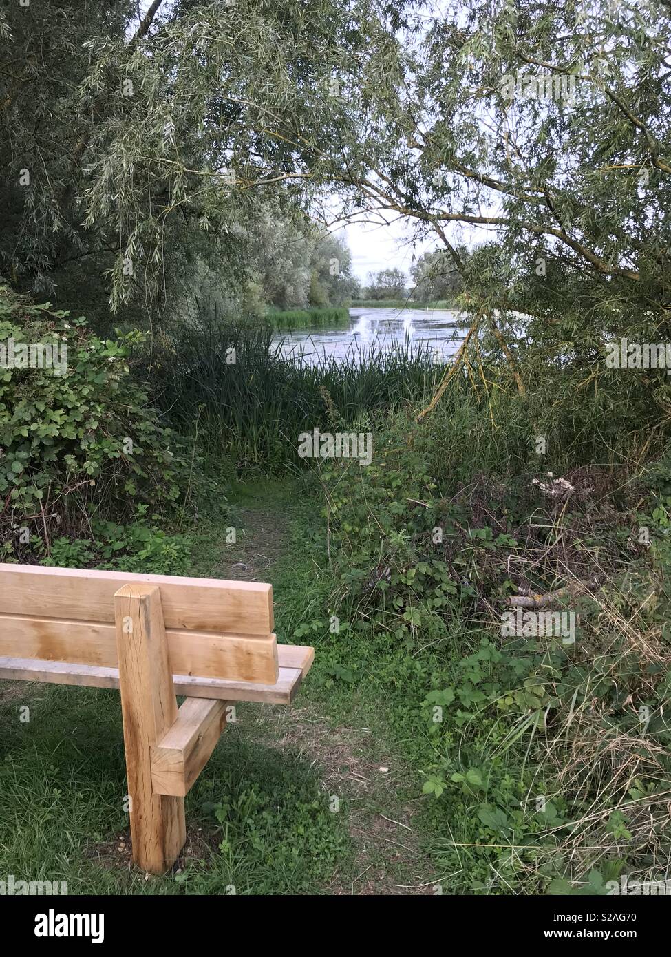 Bench with a view. Stock Photo