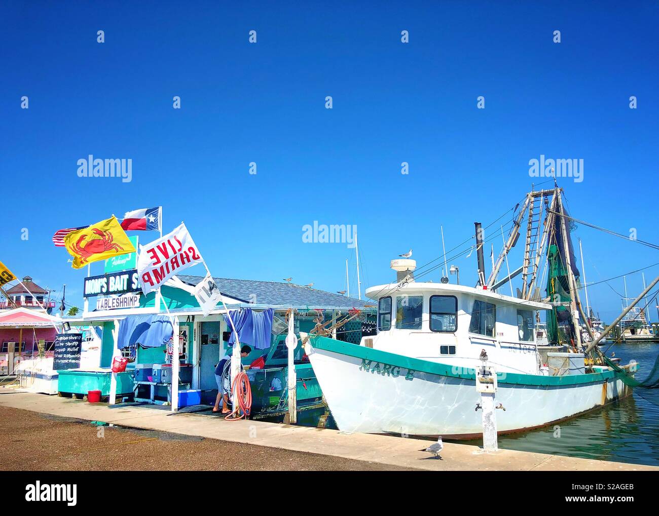 Shrimp for sale at Mom's Bait Shop in Rockport, Texas. Stock Photo