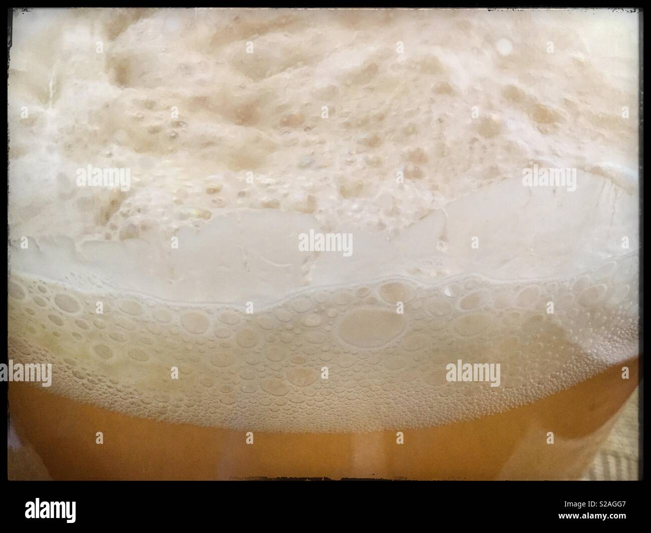 Fermenting white wine in demijohns, Catalonia, Spain. - Smartphone Captured Stock Image
