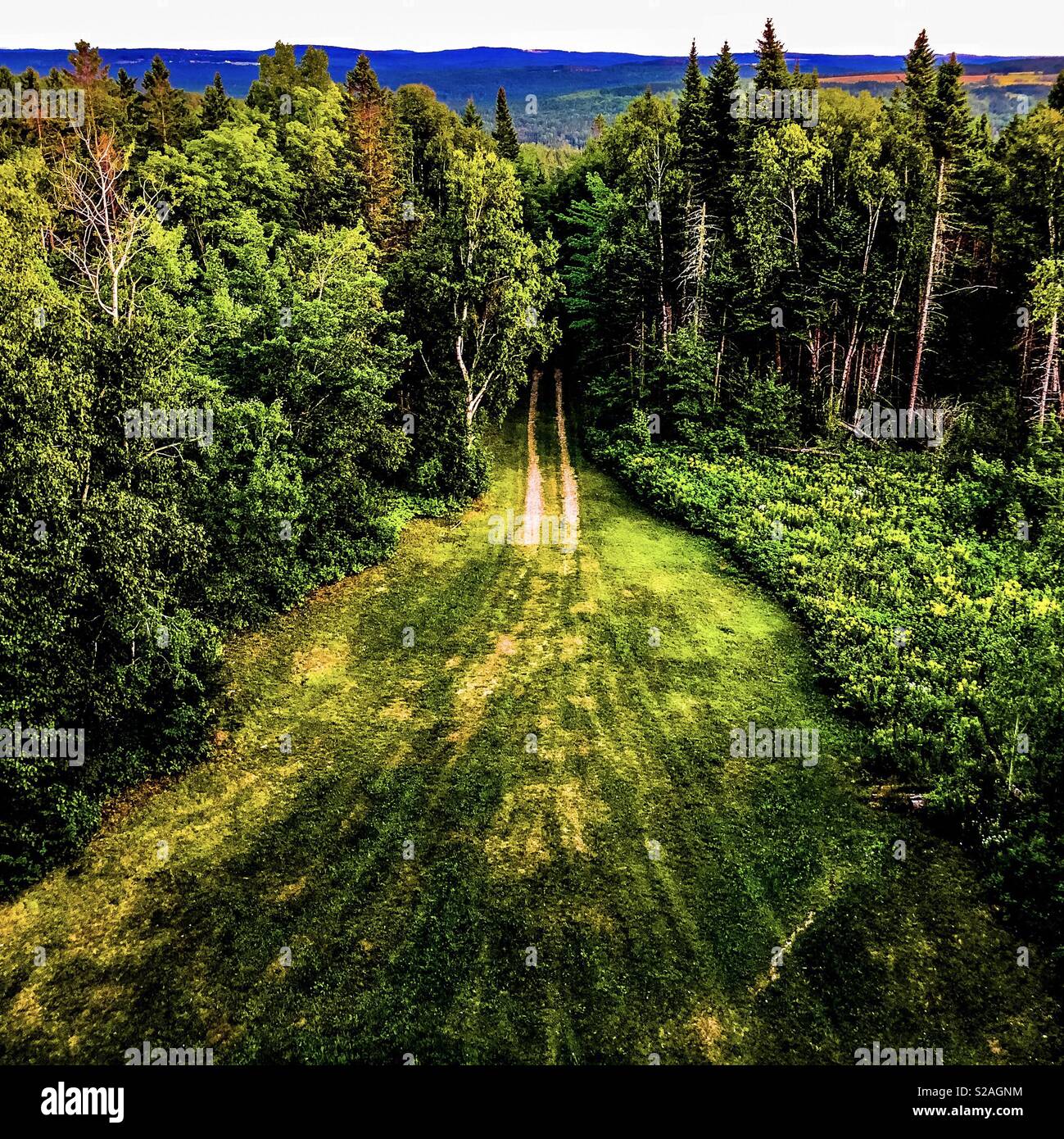 An ATV trail disappears in the woods, as seen from atop a fire tower. - Smartphone Captured Stock Image