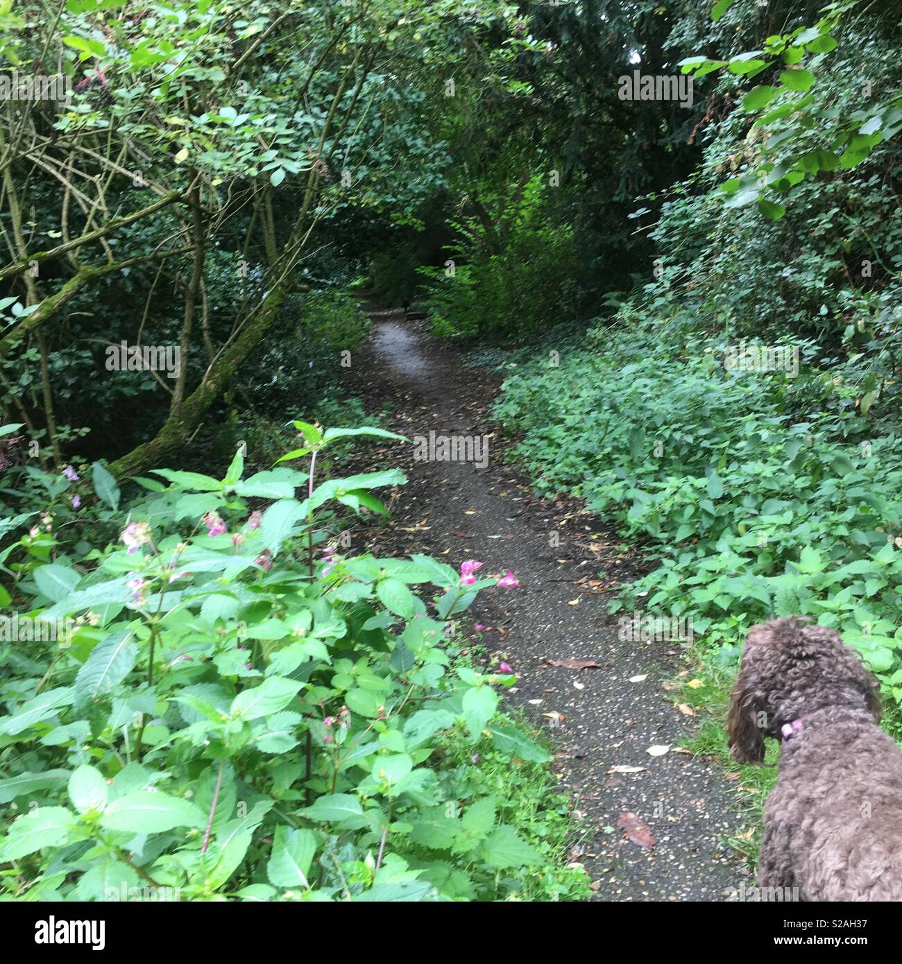 Off they go! Stock Photo Alamy