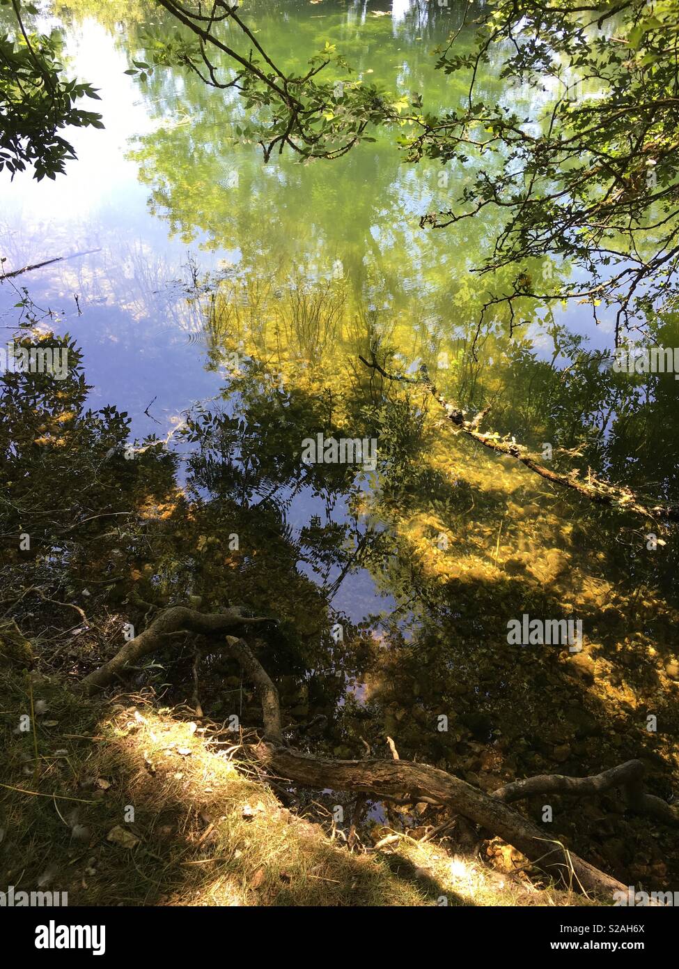 Clear water reflections Stock Photo