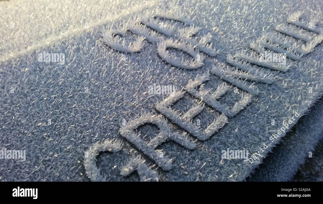 Morning frost on a trash can in Greenville South Carolina 2 Stock Photo