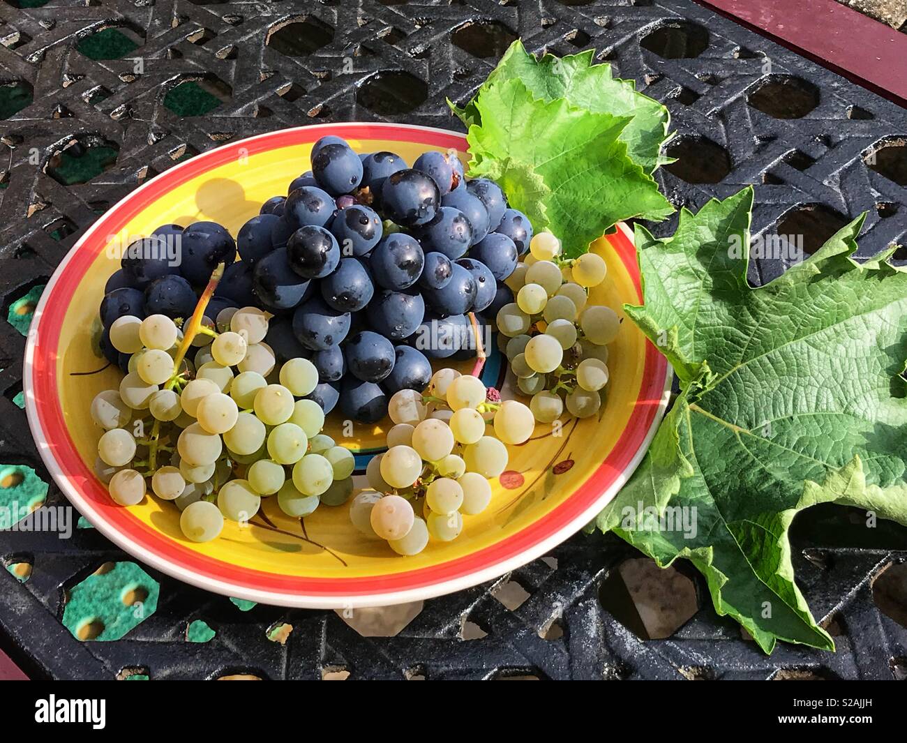 Black and green grapes on plate with vine leaves Stock Photo