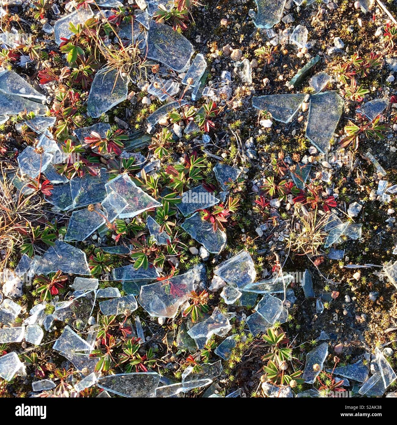 Shattered - Smartphone Captured Stock Image