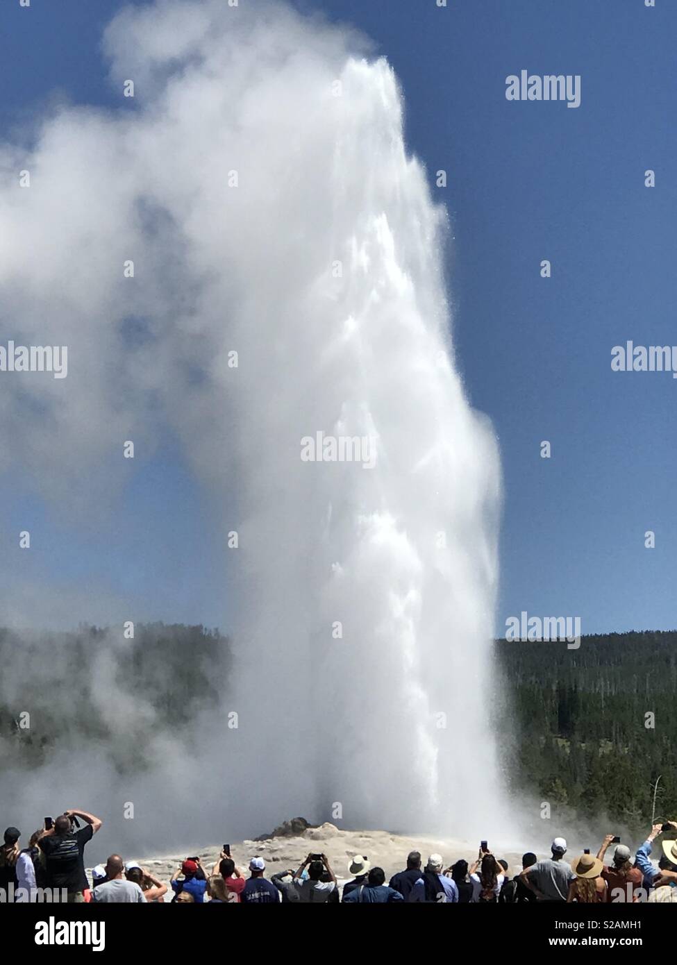 Old Faithful Erupting in the Upper Geyser Basin, Yellowstone National Park, Wyoming Stock Photo