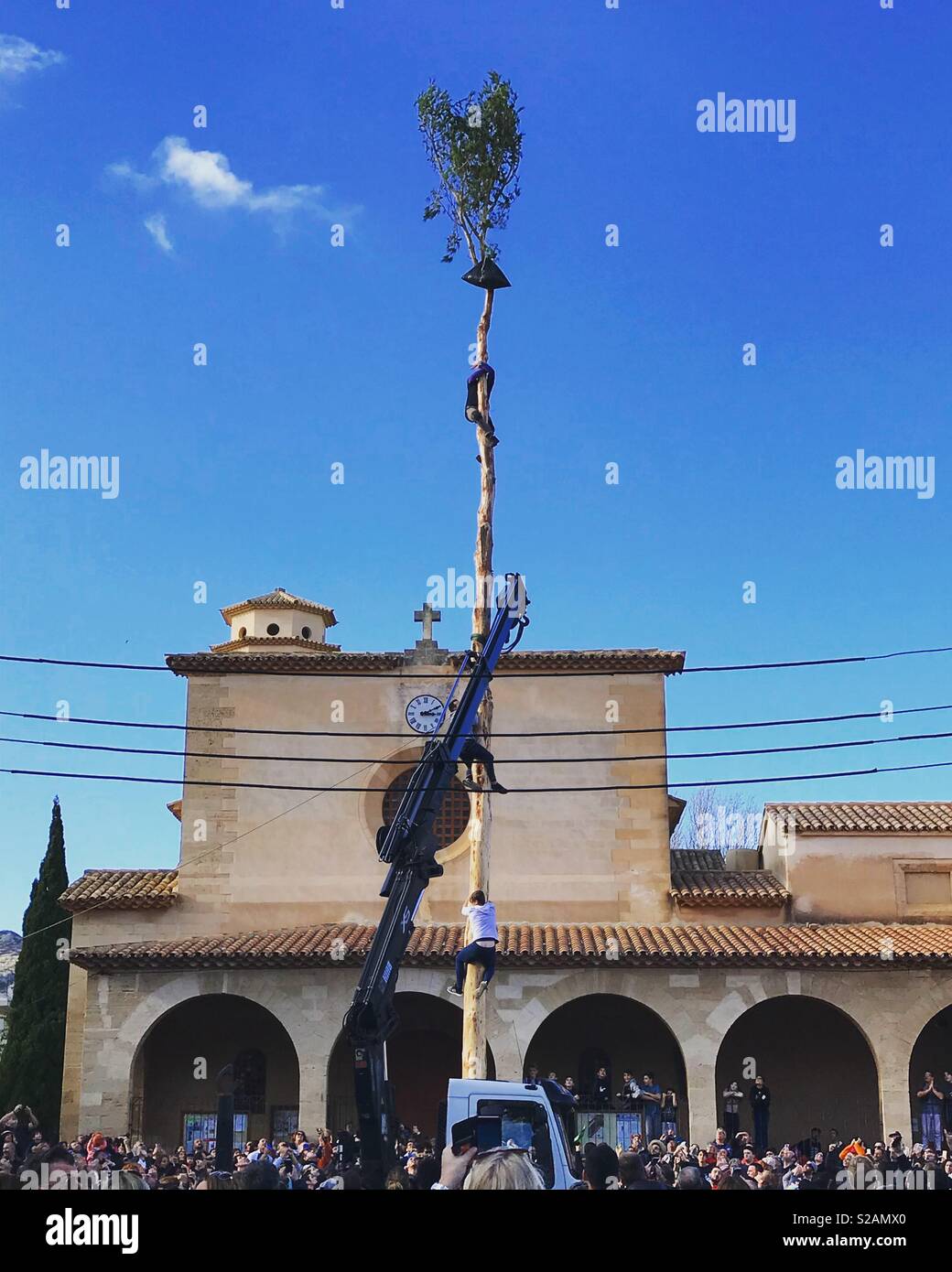 Tree climbing, sant antoni fiesta, Puerto Pollensa, Mallorca - Smartphone Captured Stock Image
