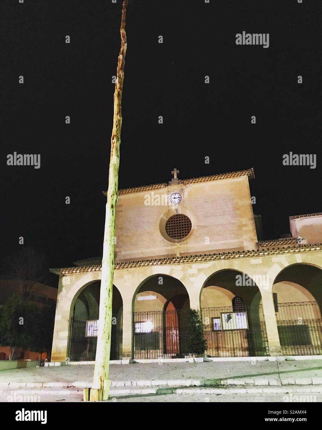 Pine tree in church square, sant Antoni fiesta, Puerto Pollensa, Mallorca - Smartphone Captured Stock Image
