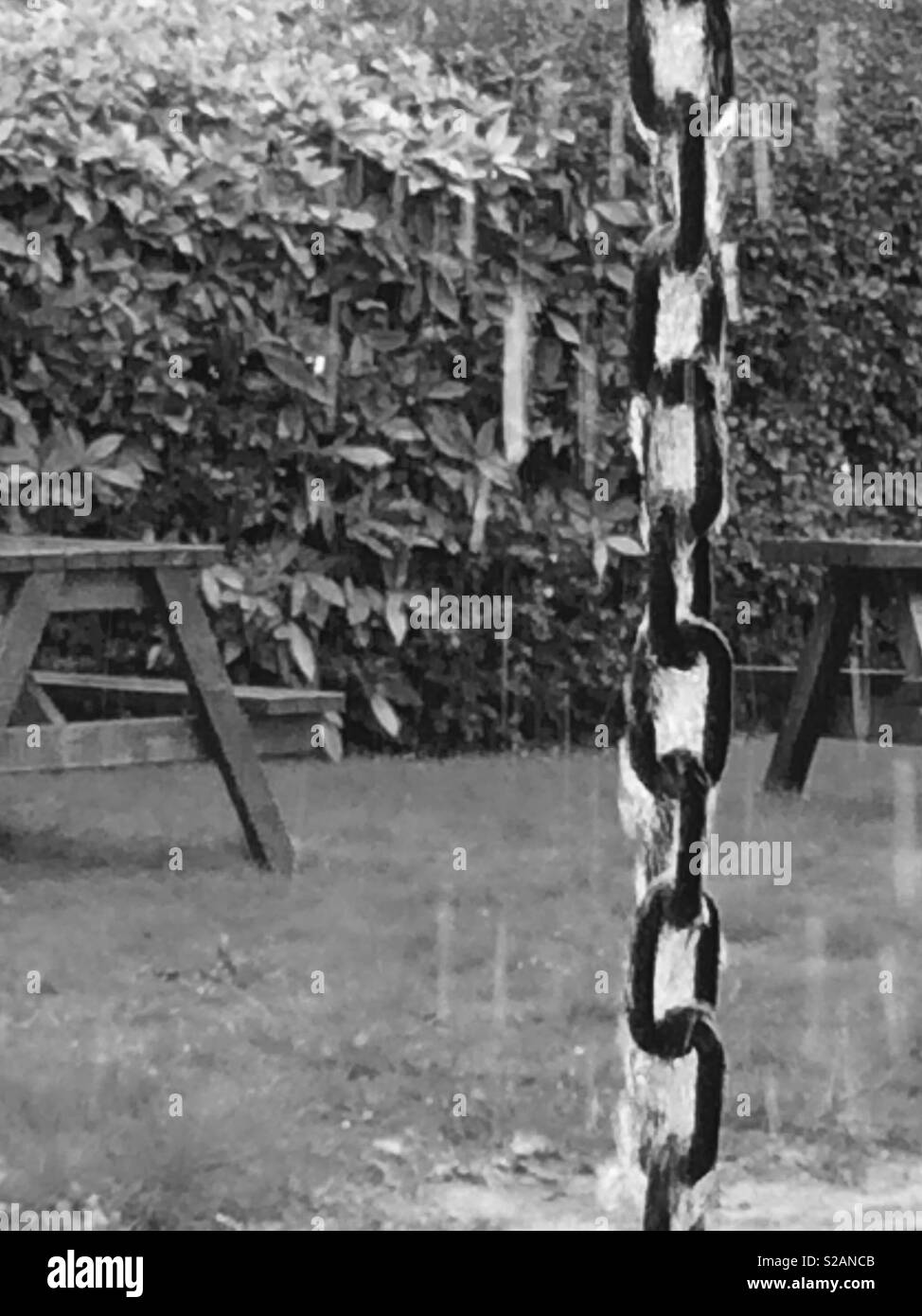 Rain water running down a chain in black and white Stock Photo