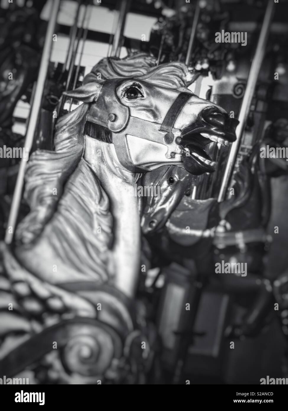 Black and white closeup of a carousel horse - Smartphone Captured Stock Image