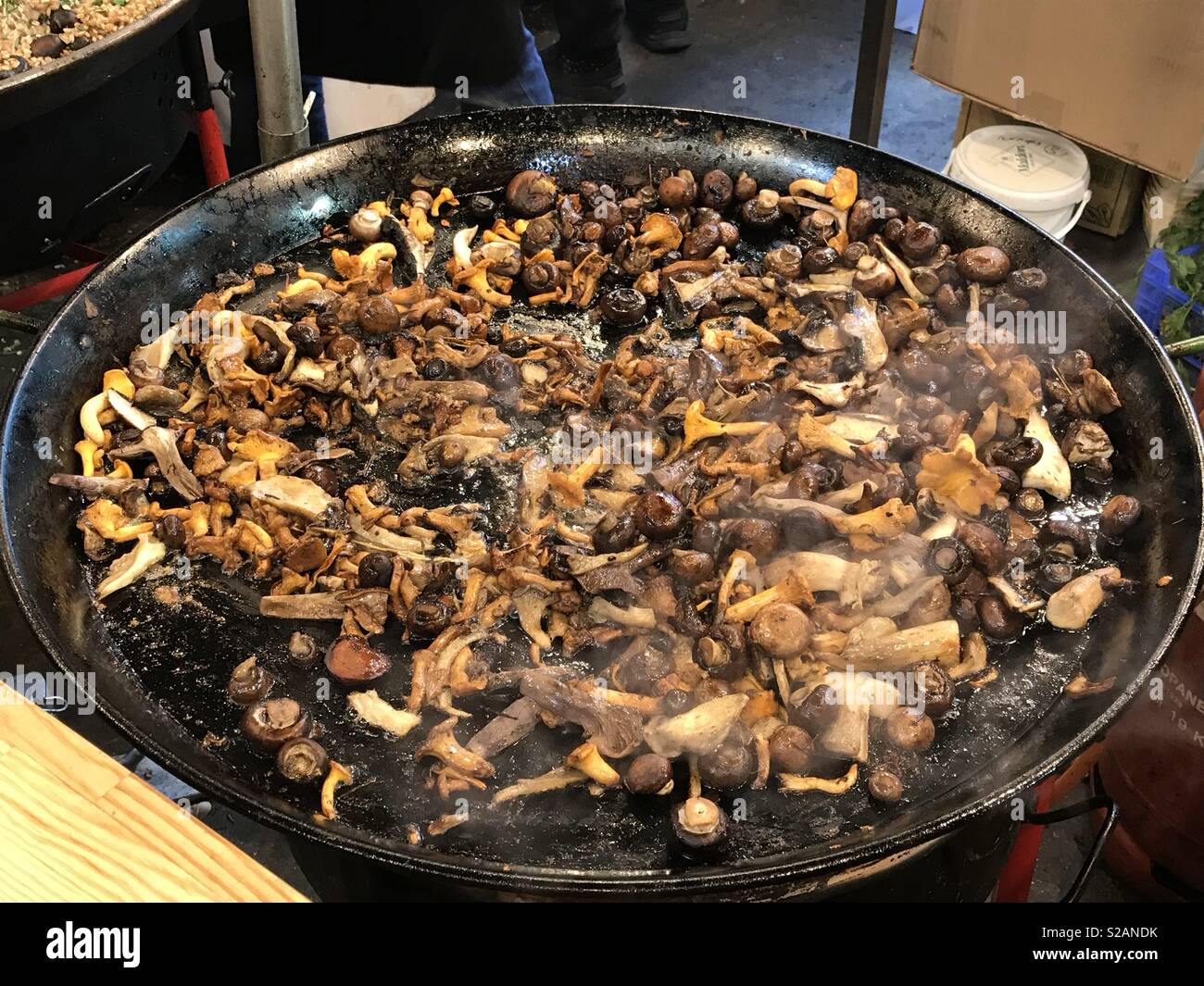 Large flat mushroom hires stock photography and images Alamy