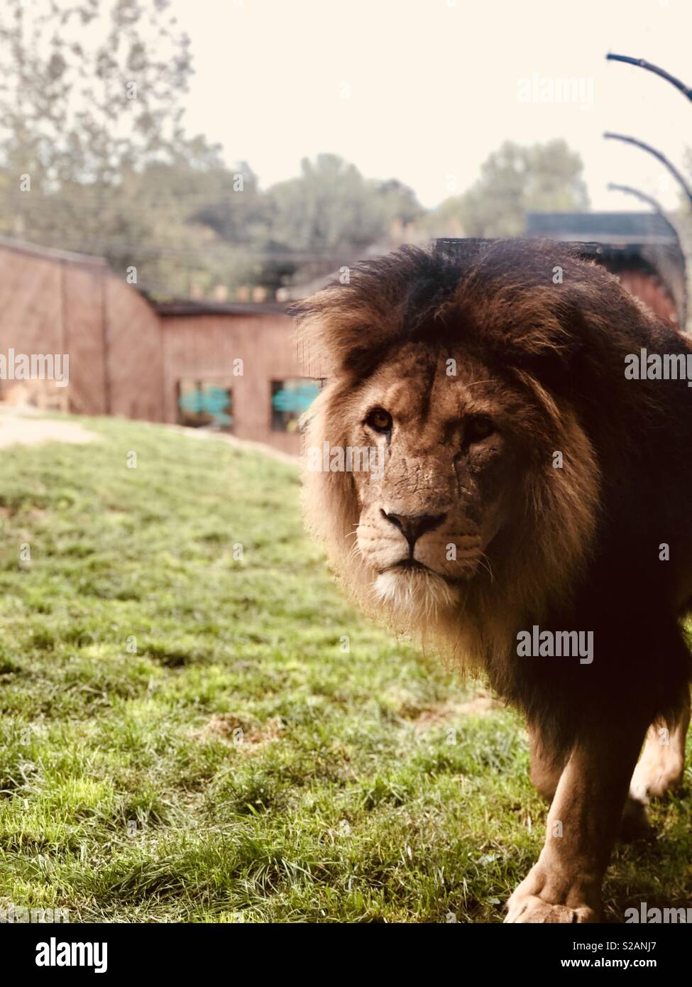 Colchester zoo hi-res stock photography and images - Alamy