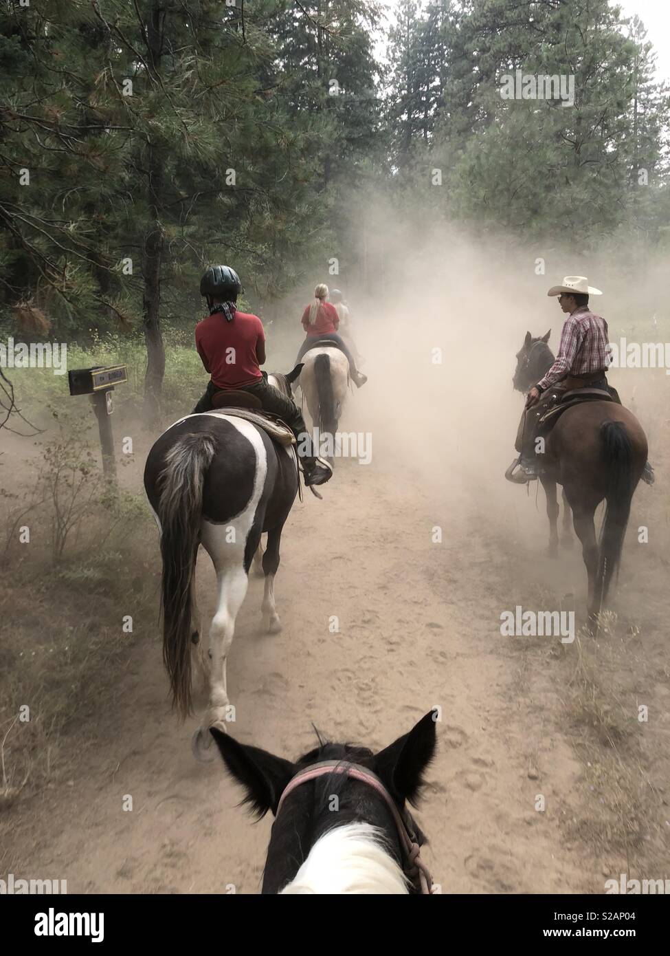 Several people ride horses down a dusty mountain trail on a guided horseback adventure tour in Washington state. - Smartphone Captured Stock Image