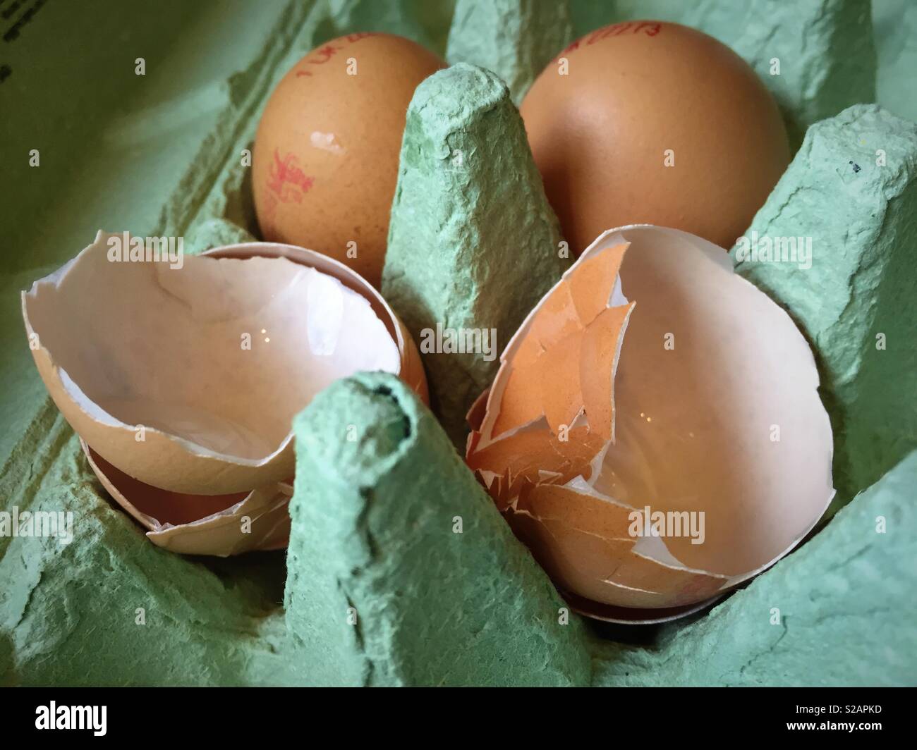 Eggs and eggshells in a green egg box. - Smartphone Captured Stock Image