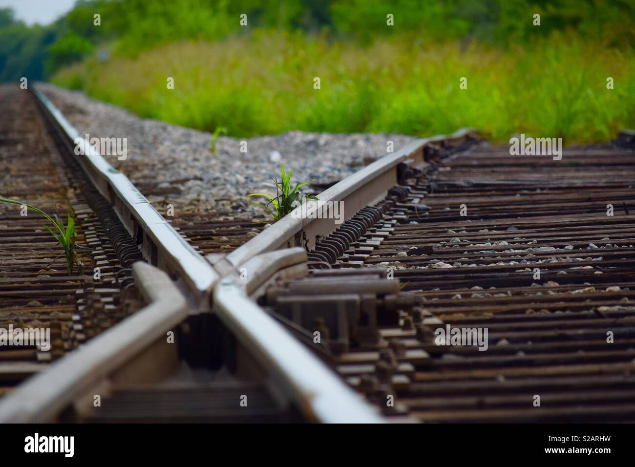 Railroad tracks in Denton Texas Stock Photo Alamy