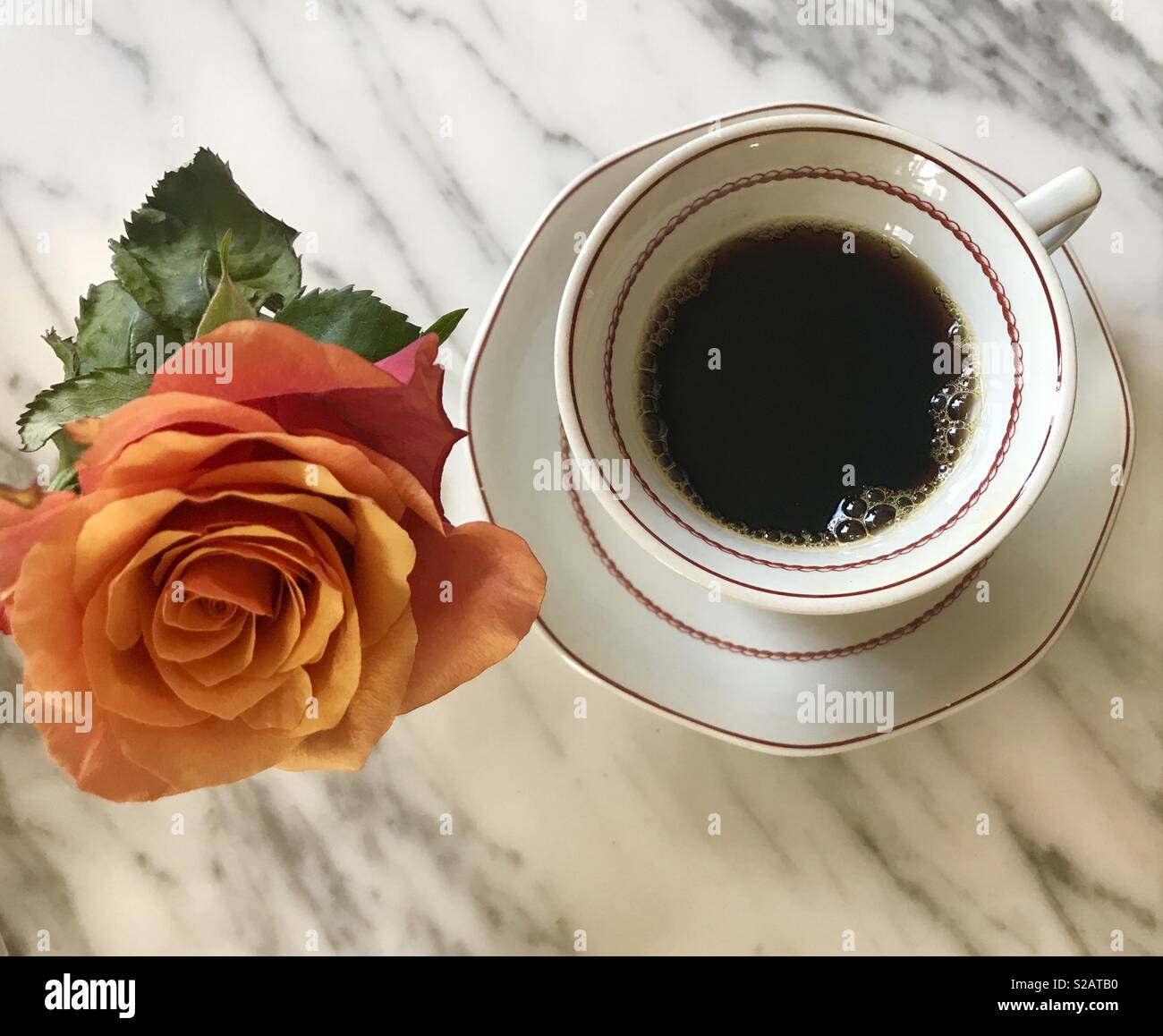 Coffee flower good morning hi-res stock photography and images - Alamy