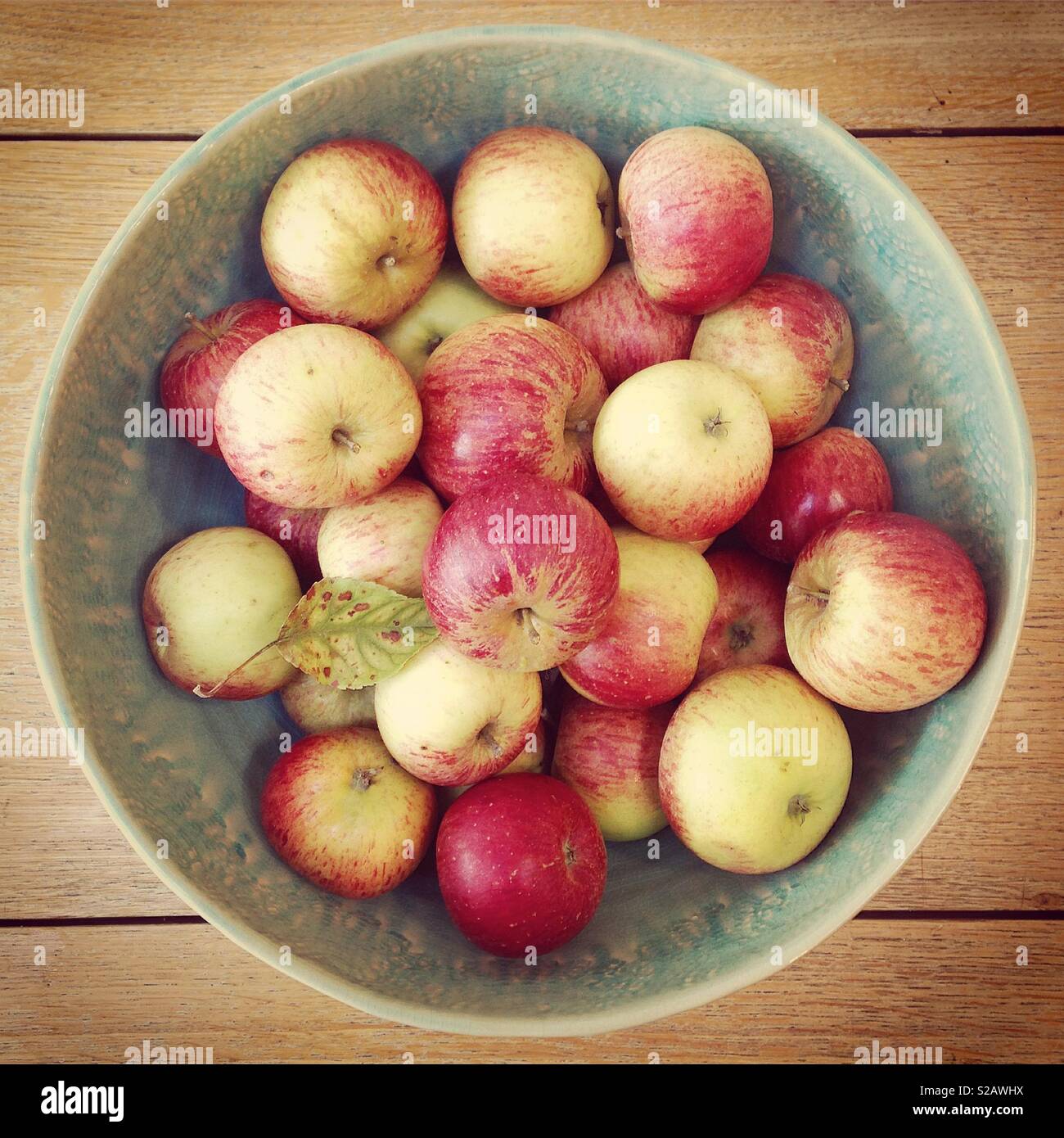 Windfalls - Smartphone Captured Stock Image