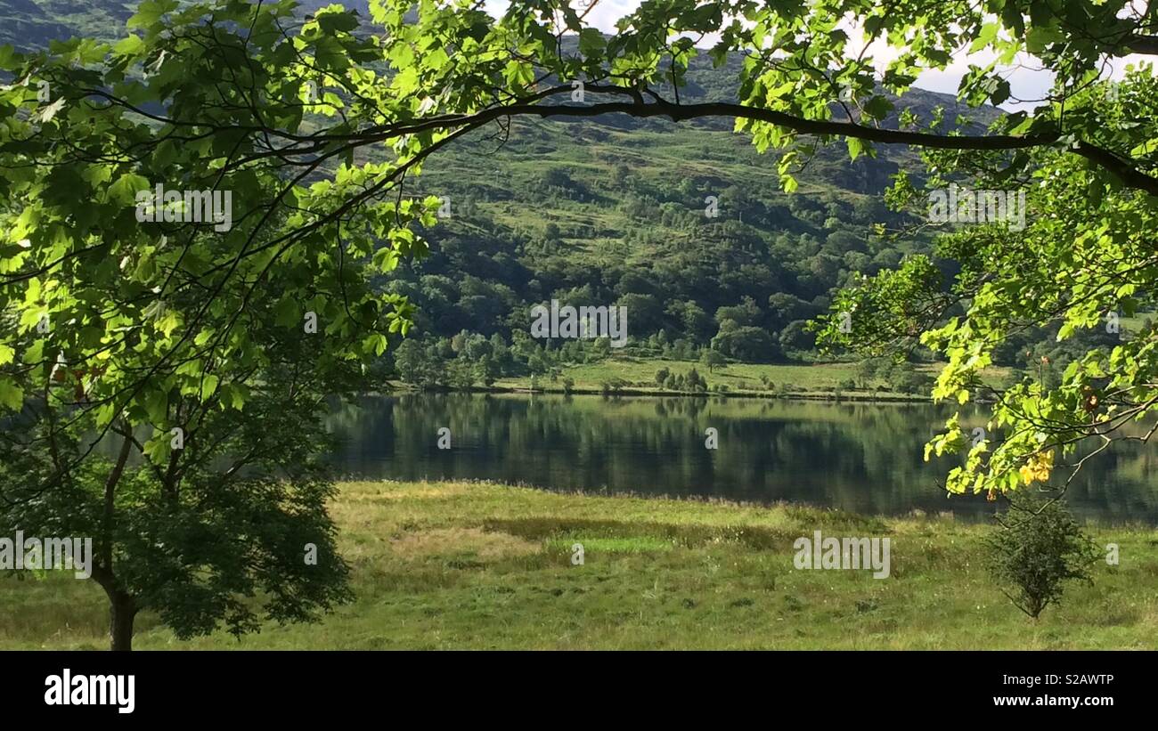 Near mount snowdon Stock Photo Alamy