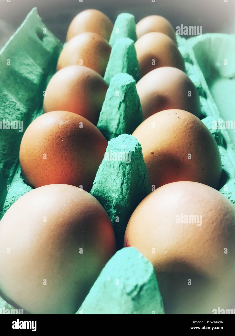 Eggs in a green box Stock Photo