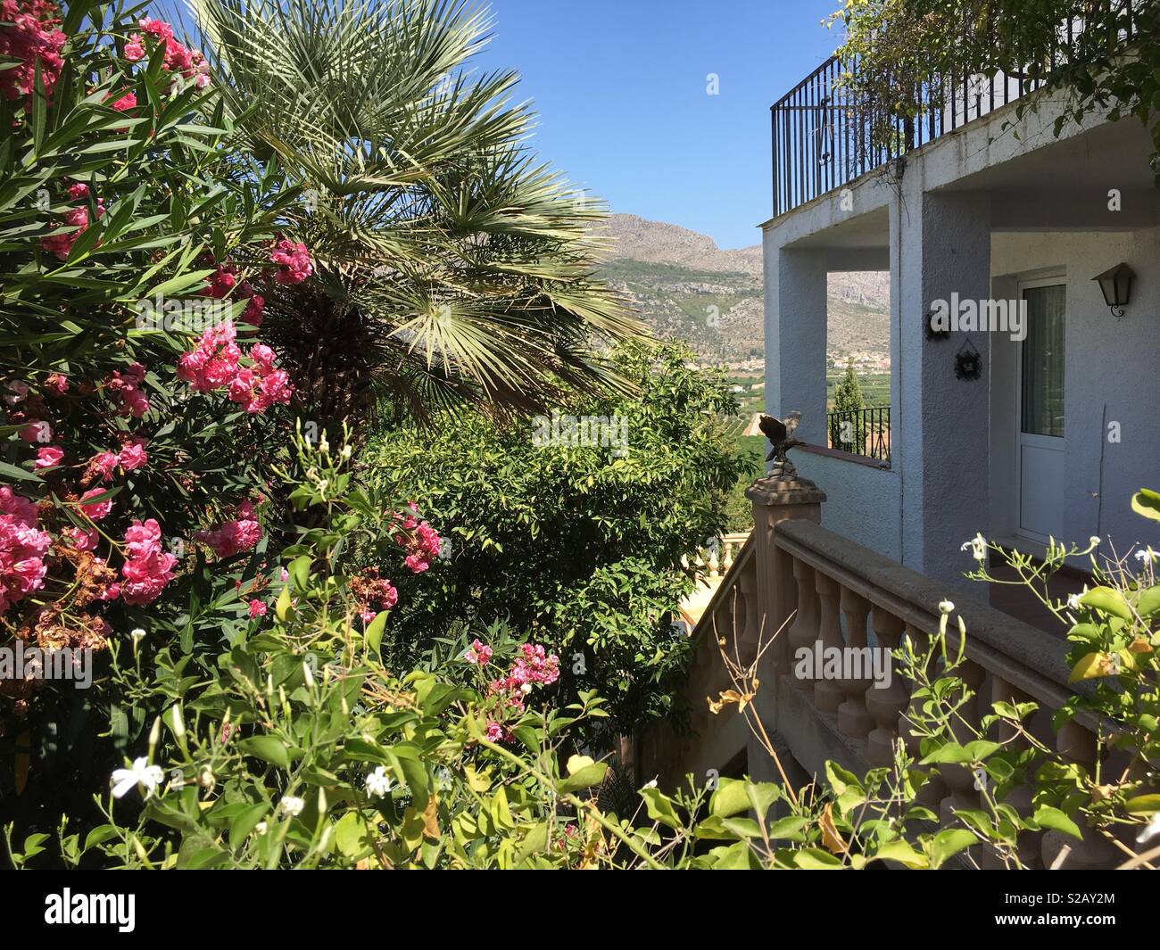 Spanish garden and villa in summer - Smartphone Captured Stock Image